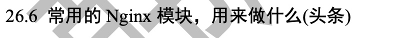 image-20220121194037639