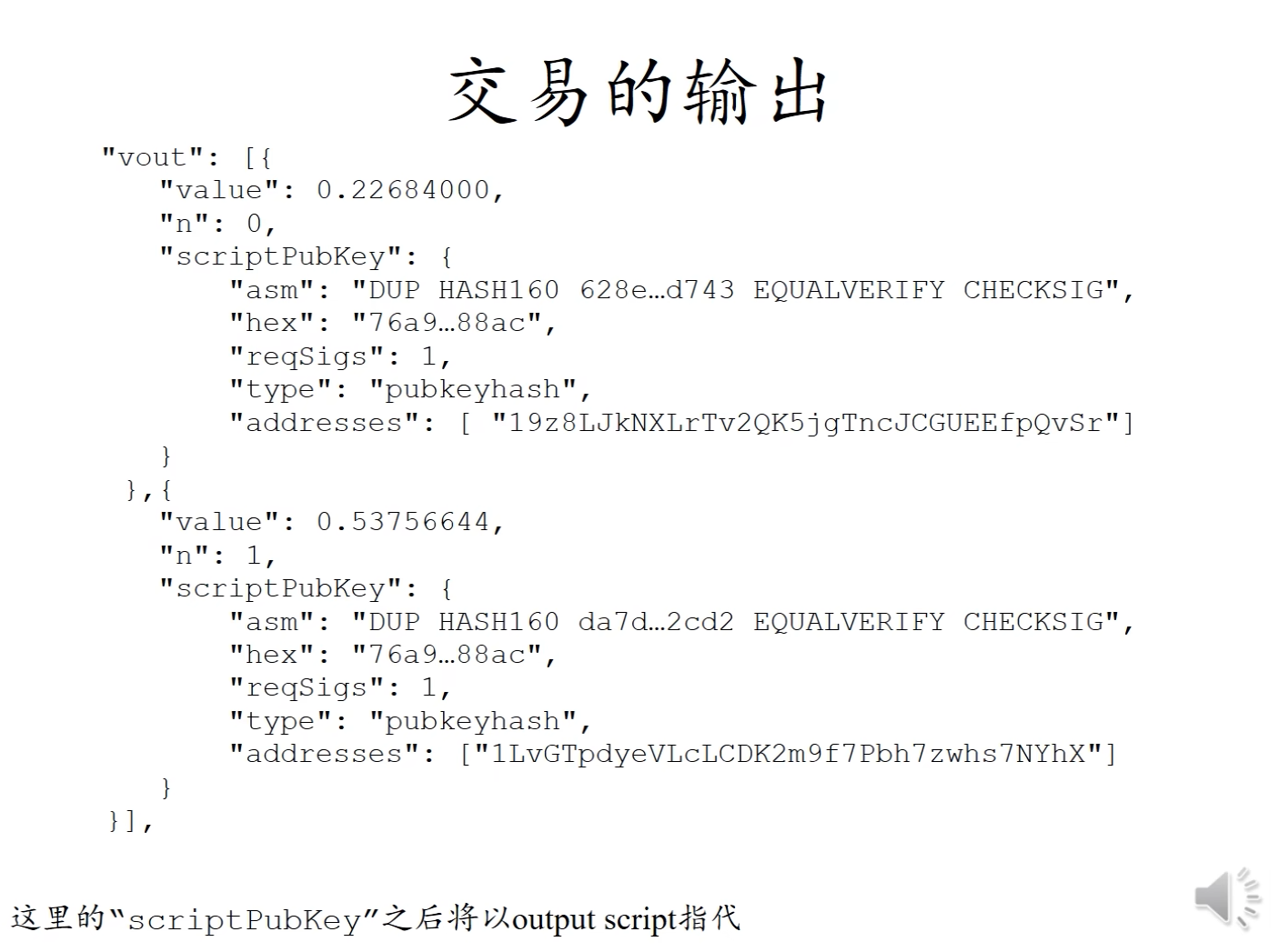 截屏2024-11-25 21.34.52