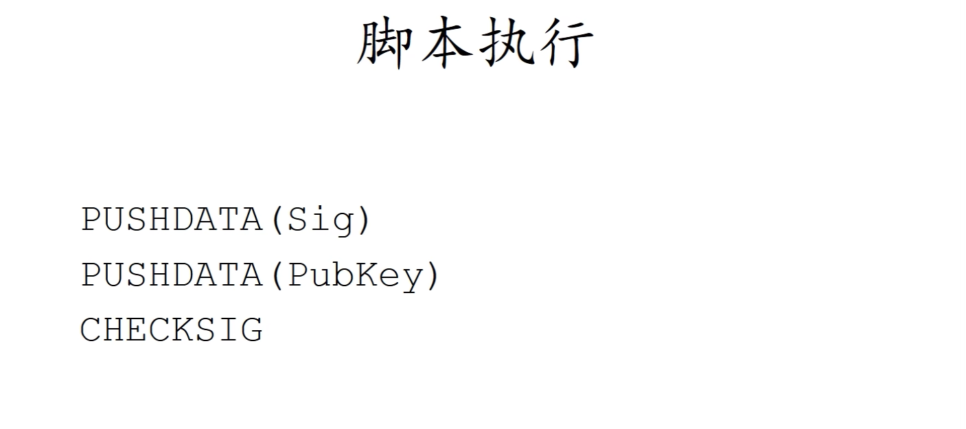 截屏2024-11-25 22.19.50